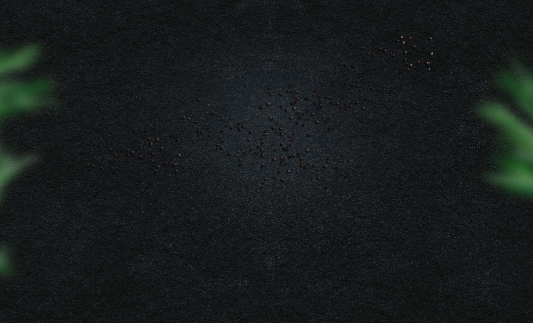 Law Ranch Cattle Company photo 19