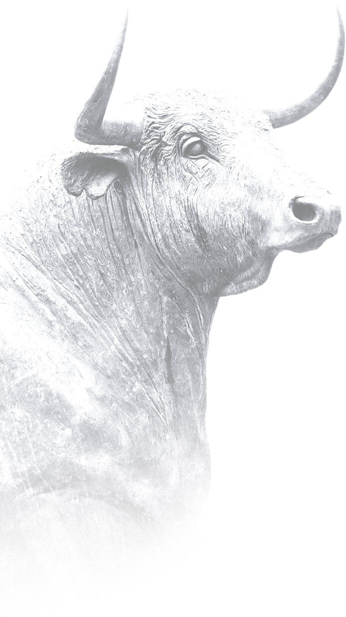 Law Ranch Cattle Company photo 4