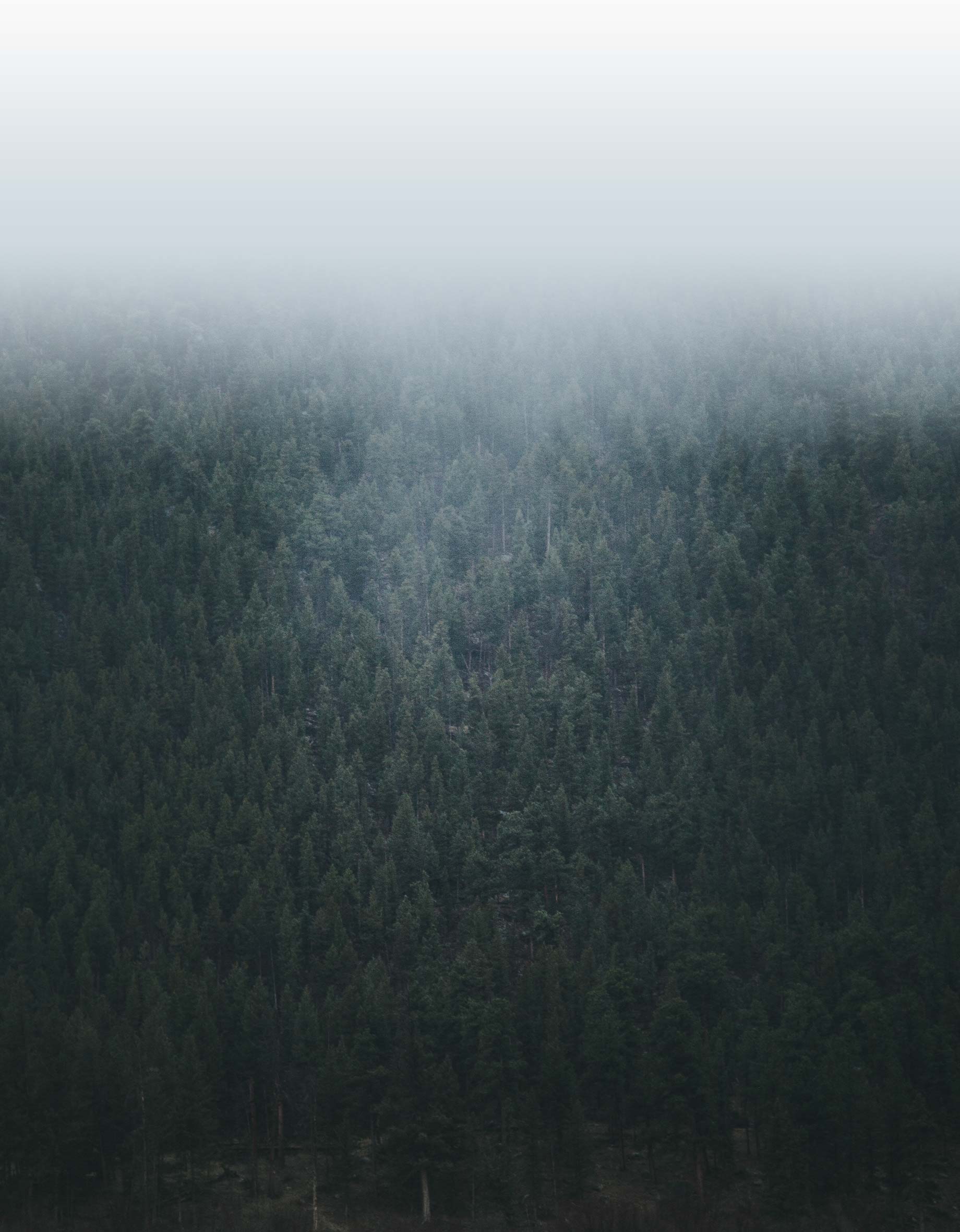 Law Ranch Cattle Company photo 3